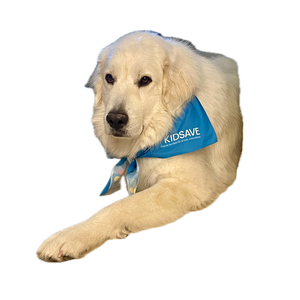 The Pawsitive Pacers